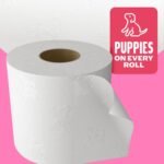 Andrex Family Soft Toilet Tissue 45 Rolls (Previously Andrex Gentle Clean) Gentle on your Family’s skin– Bulk Pack of 45 Toilet Rolls, FSC Certified