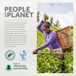 Yorkshire Tea, Total 1040 Tea Bags, (Pack of 3.25 kg)